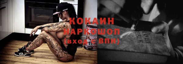 гидра Володарск