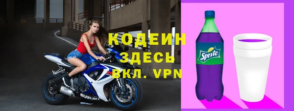 индика Няндома