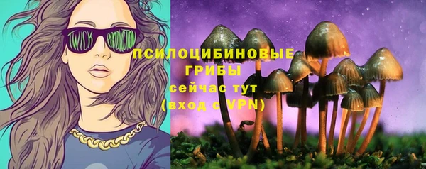 ECSTASY Верея